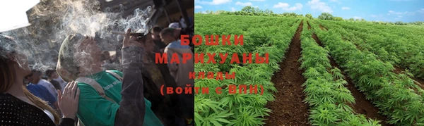 стафф Богданович