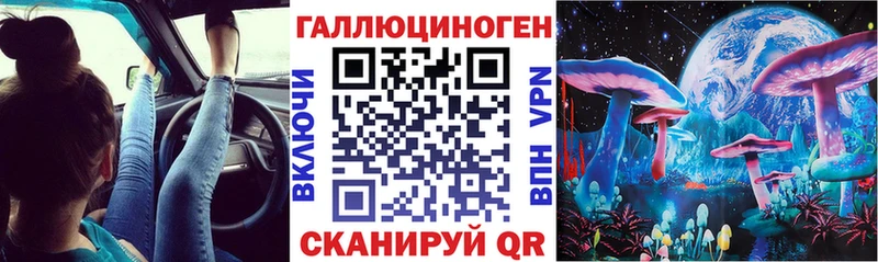 Галлюциногенные грибы GOLDEN TEACHER  блэк спрут зеркало  Красный Кут 